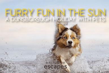 Pet Holiday Dunsborough Hero