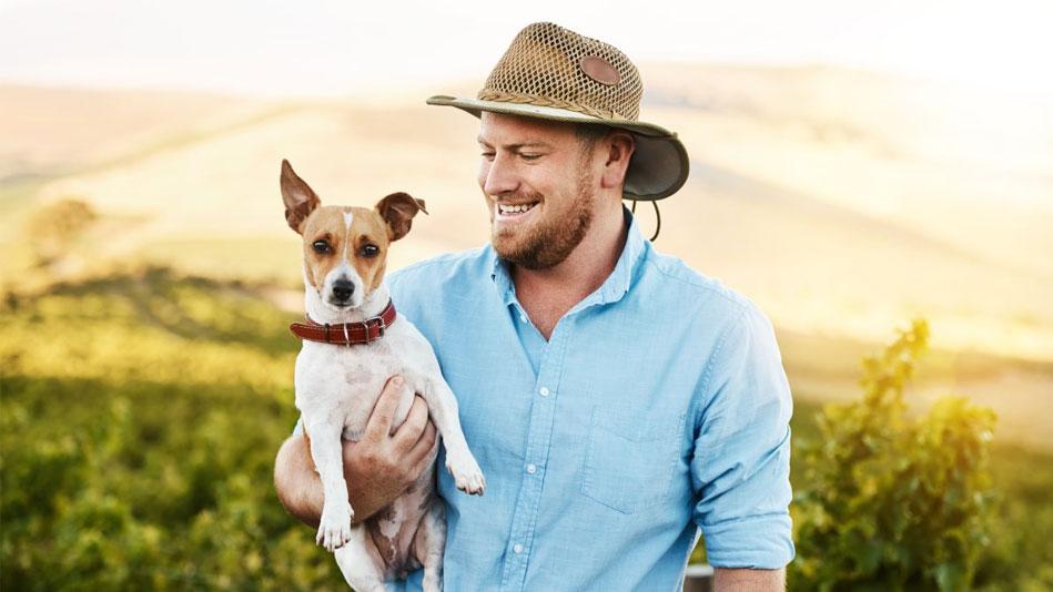 dog with the owner