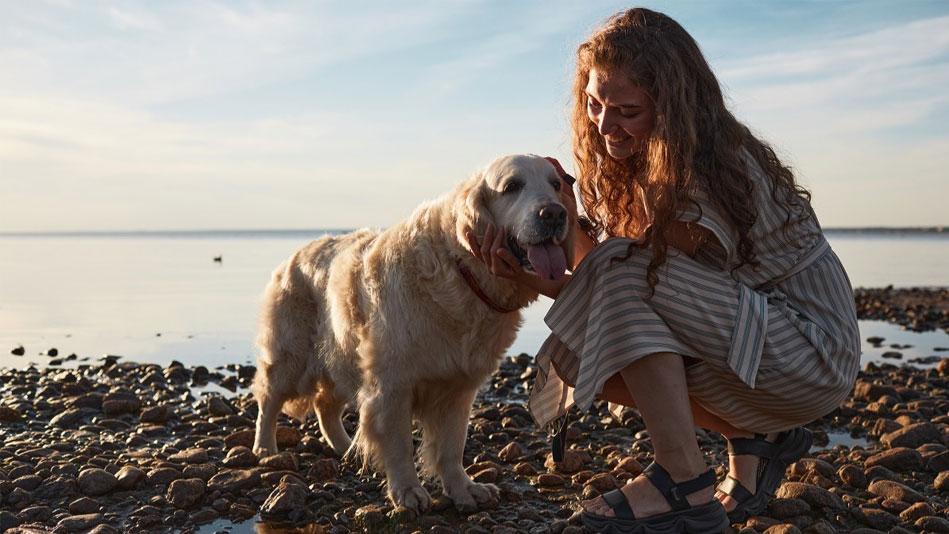 visiting the Dunsborough beach with your dog