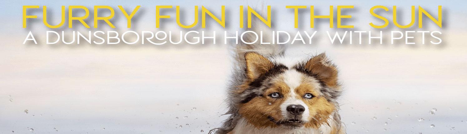 Pet Holiday Dunsborough Hero