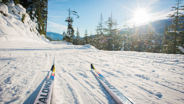 Cross Country Skiing