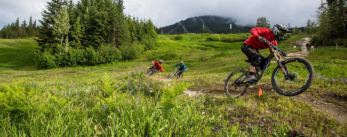 Bike Park in Whistler