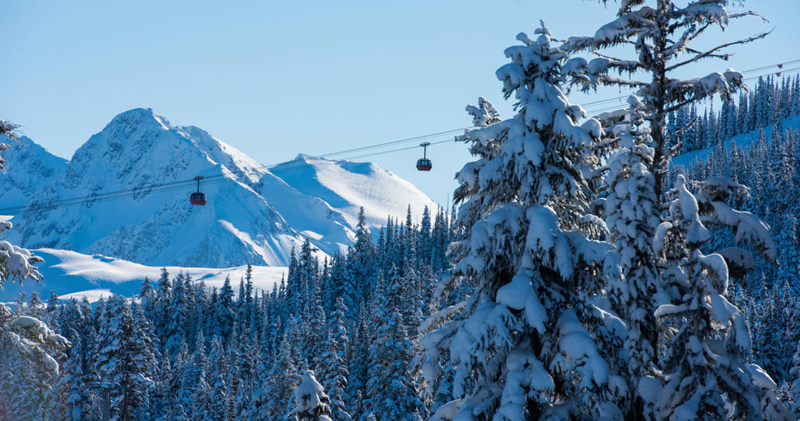 image banner of Blackcomb Mountain Statistics