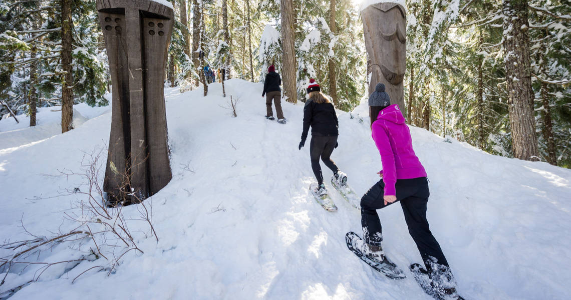 Snowshoeing on winter