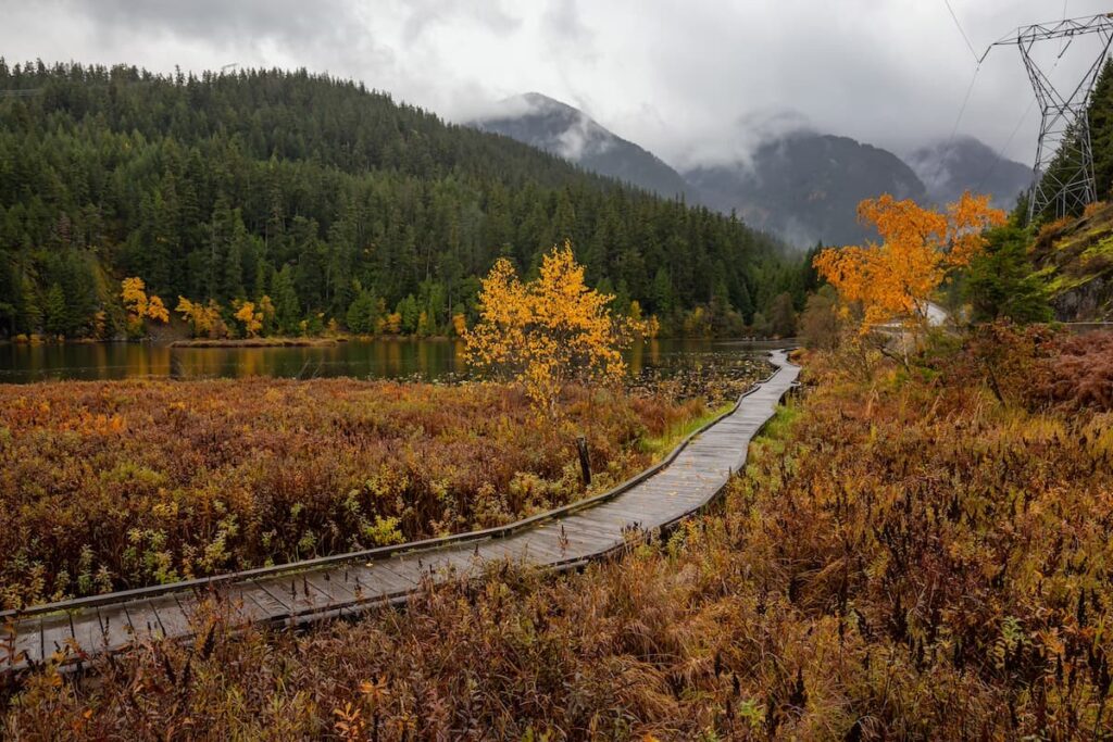 Fall foliage on a hike in Whistler