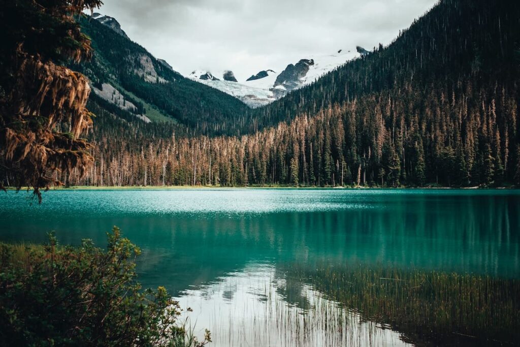 View of Joffre Lakes along scenic Whistler Hiking Trail 