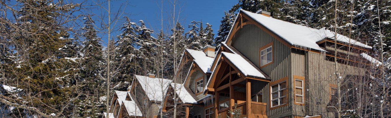 mountain star whistler