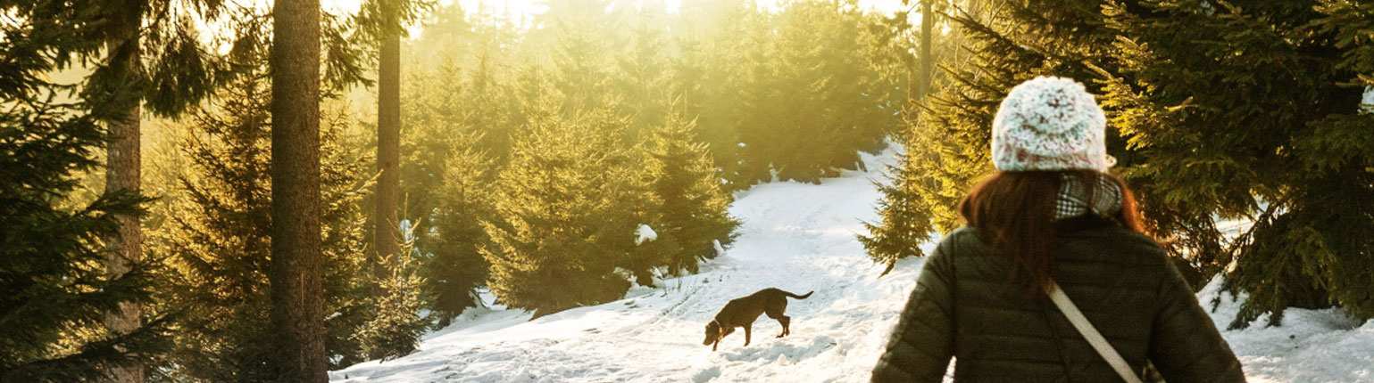 Whistler Pet-Friendly Accommodation