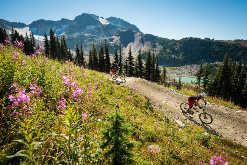 Mountain bikers riding a scenic trail at Whistler Mountain Bike Park, surrounded by wildflowers, alpine forest, and snow-capped peaks near an alpine lake.